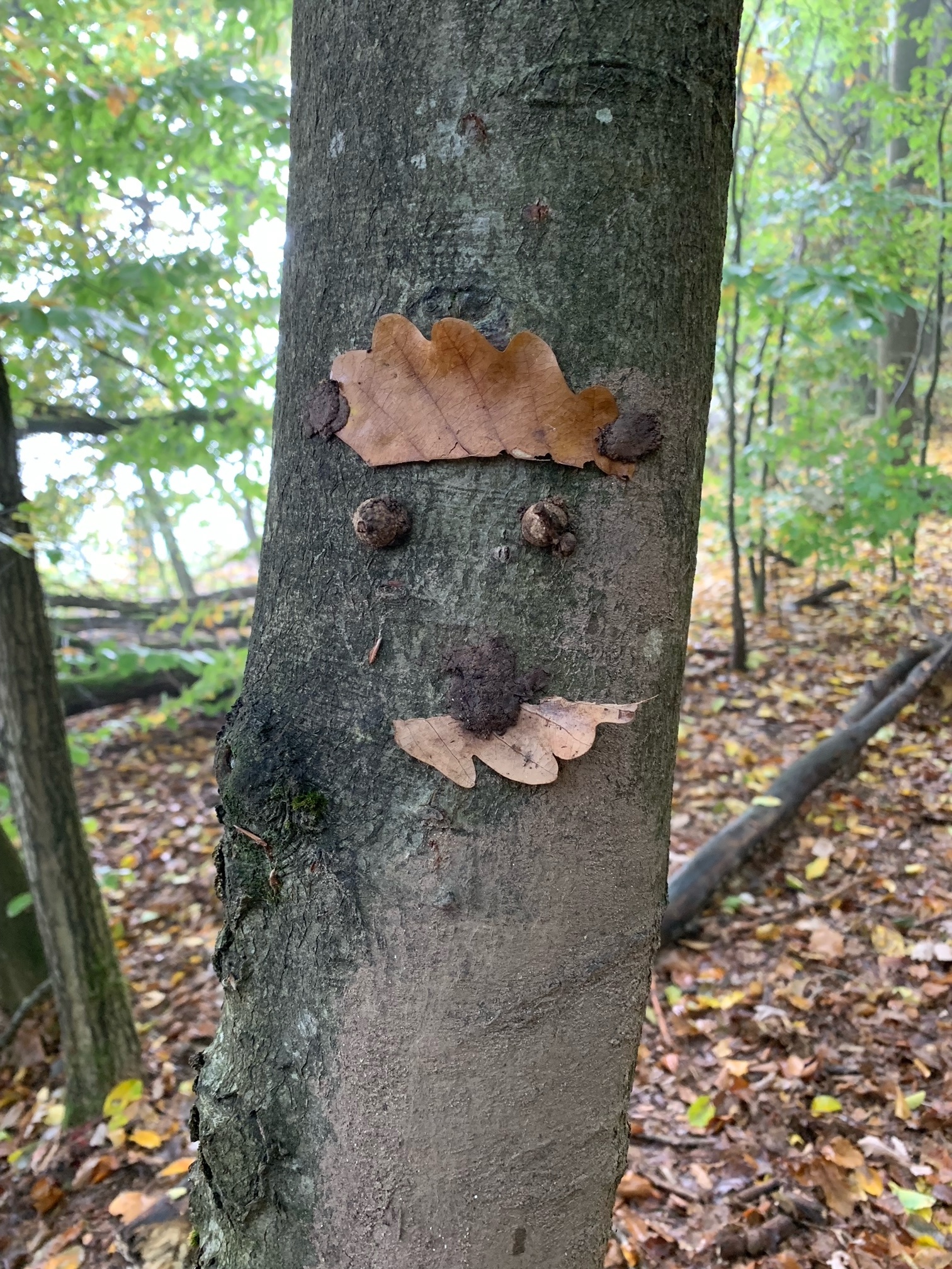 Familienwanderung