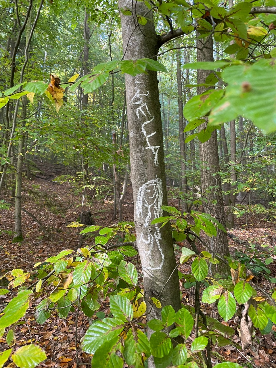 Familienwanderung