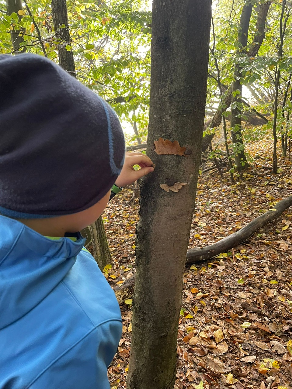 Familienwanderung