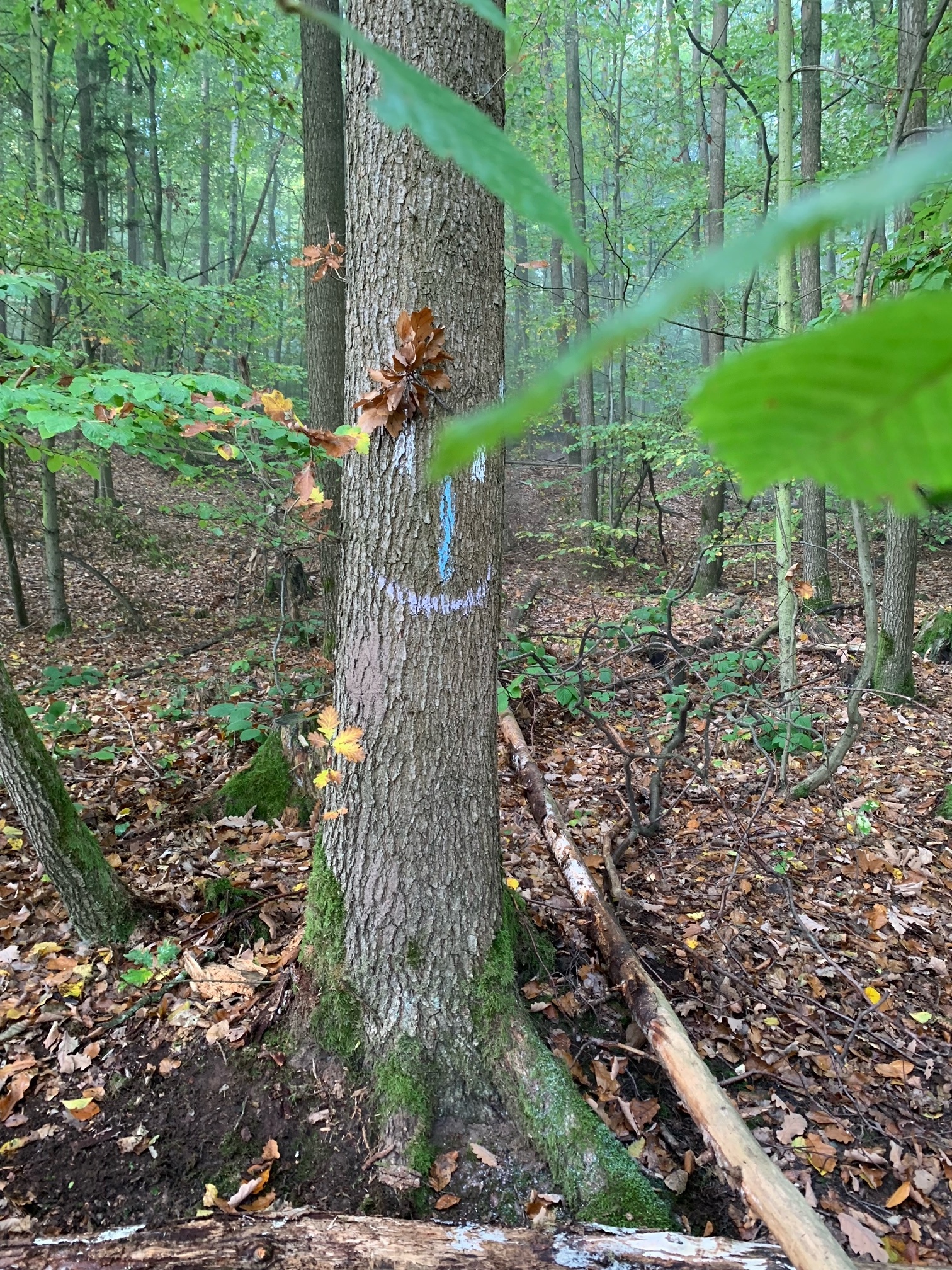 Familienwanderung